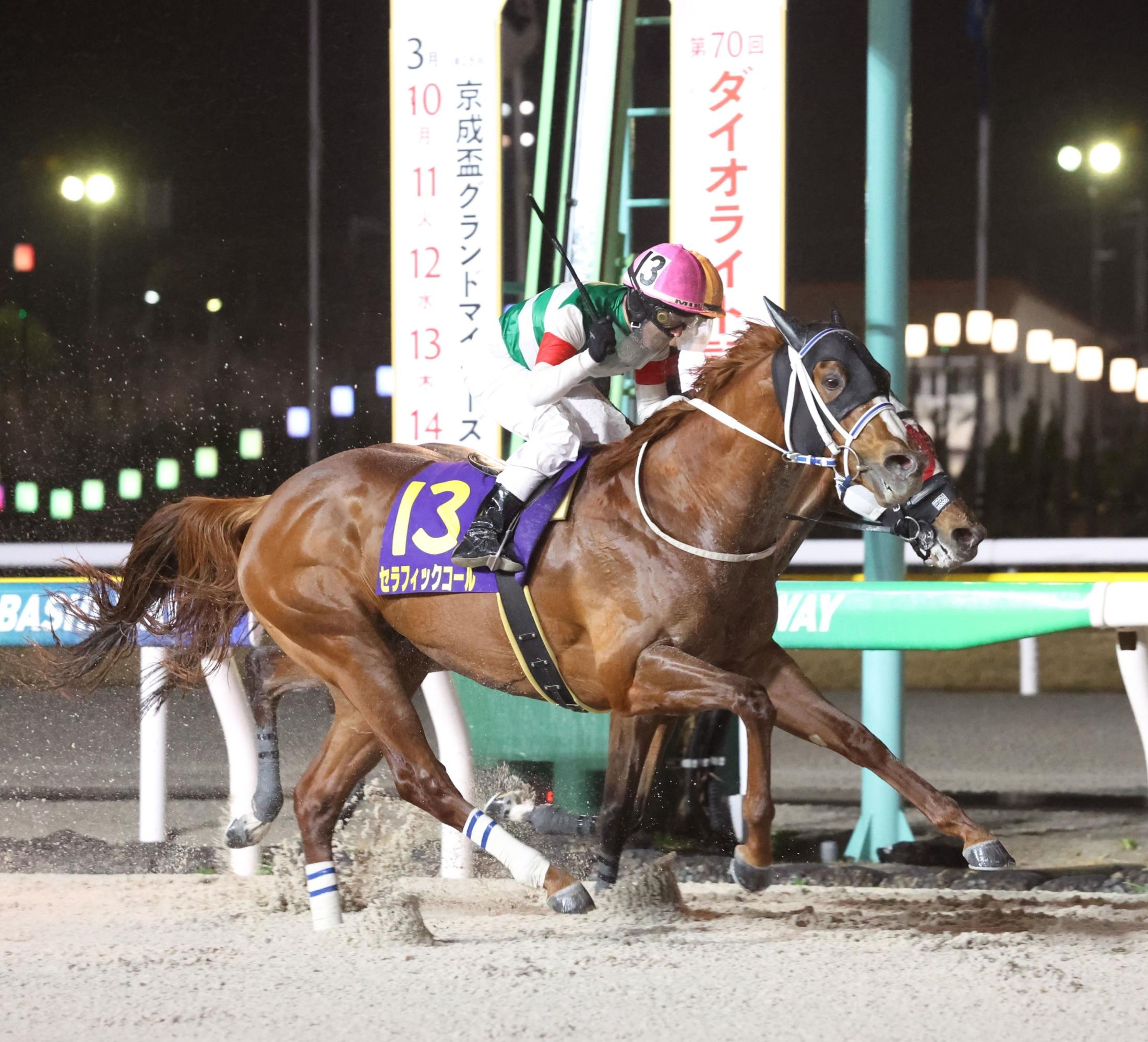 【地方競馬】セラフィックコールが連覇達成！