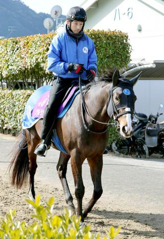 【注目馬動向】中山記念3着のソウルラッシュはドバイ・ターフへ