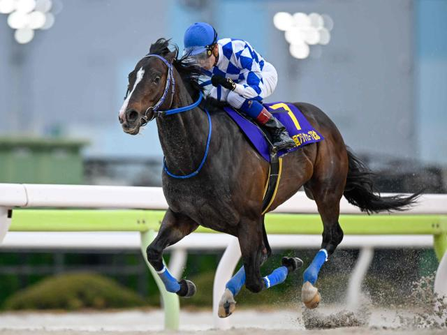 【大井・フジノウェーブ記念結果】1番人気のイグザルトが7馬身差圧勝で重賞初制覇！