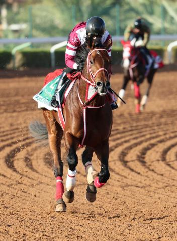 サウジC制覇のフォーエバーヤングが128ポンドで世界1位　ロンジンワールドベストレースホースランキング