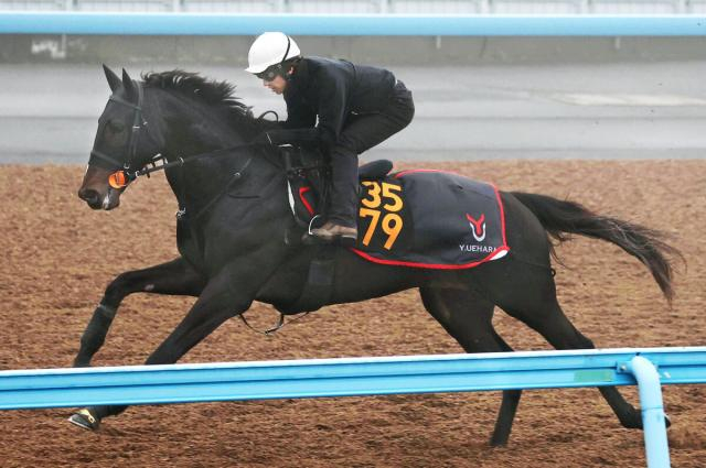 【スプリングS】重賞初制覇を狙うキタサンブラック産駒が躍動ラスト11秒4!石橋騎手4週連続騎乗でメンタル安定「すごい動き」