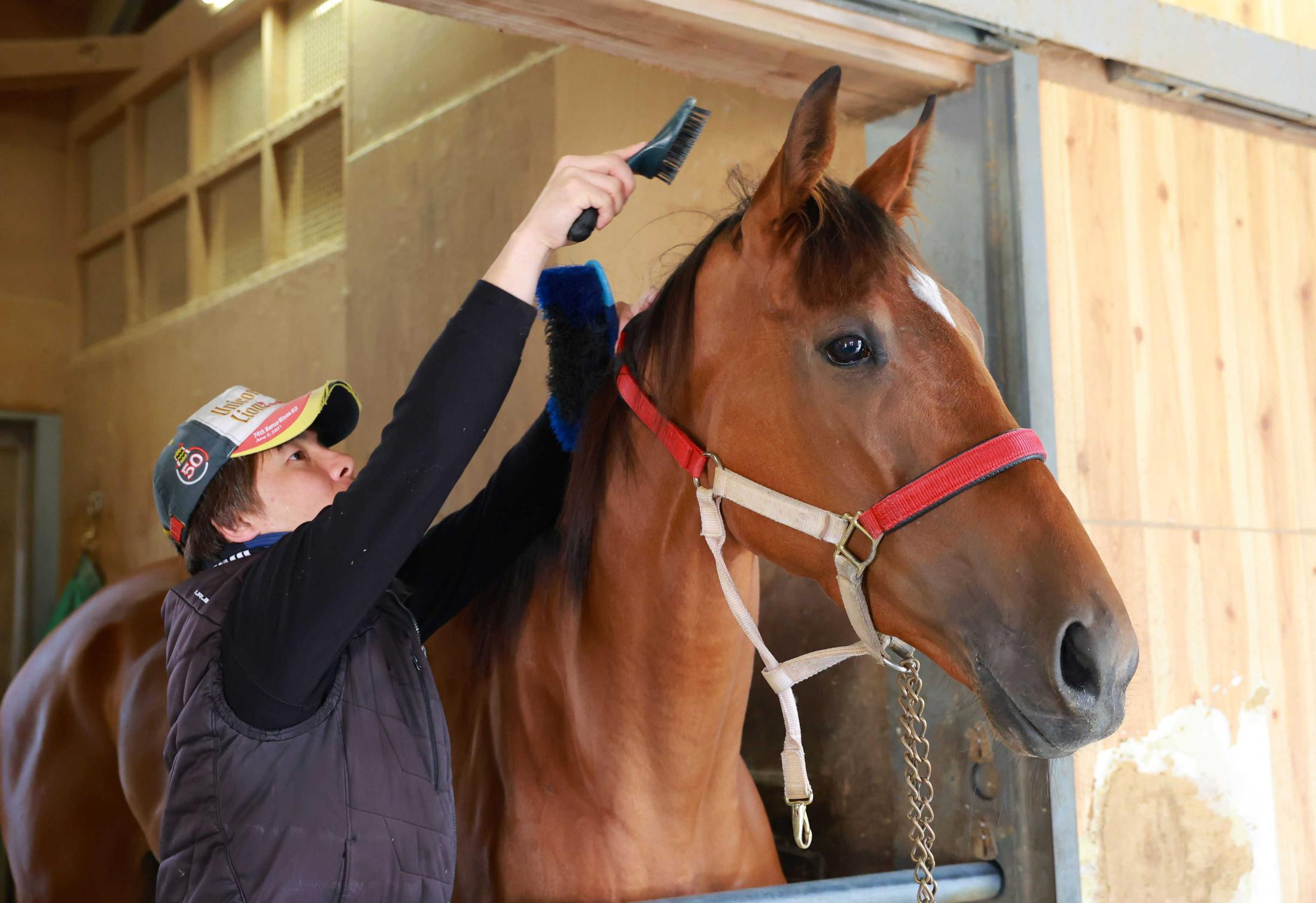 【金鯱賞】ラヴェル　ジンクス打ち破り３０年ぶり牝馬Ｖへ　馬体増加に漂う充実感