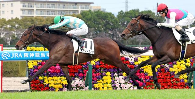 【阪神4R・3歳未勝利】3冠牝馬の全妹デアリングエアが3戦目でV　松山弘平騎手「すごくうれしいです」