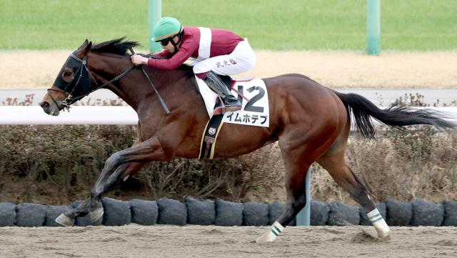 【中山7R・3歳1勝クラス】イムホテプが2戦連続の圧勝　横山武史騎手「2番手で抑えて最低限の内容」