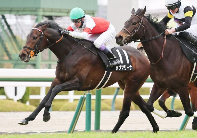 【阪神10R・難波S】サブマリーナが鮮やか差し切り　56歳バースデーVの武豊騎手「狭いところもスイスイと」