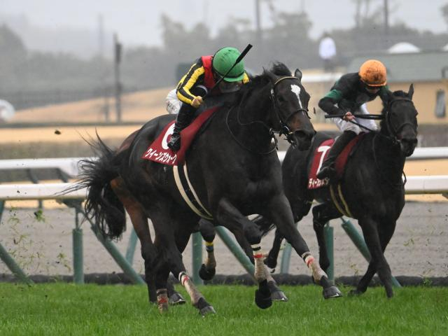 【金鯱賞レース後コメント】クイーンズウォーク川田将雅騎手ら