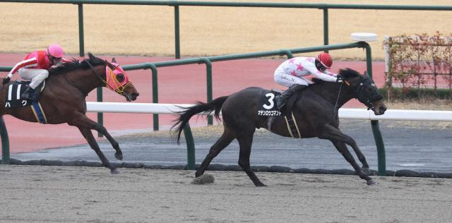 【中京10R・昇竜S】マテンロウコマンド　1馬身1/4差快勝!松山「強い内容でした」