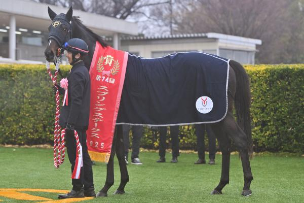 【阪神大賞典 AI予想】今年も堅く収まりそう!? 好調なAIが推すのは実績上位の前走好走馬