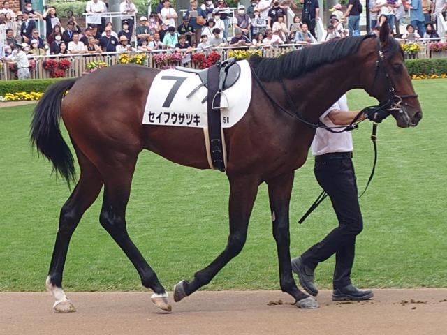 福岡ソフトバンクホークス・柳田悠岐選手 セイフウサツキで馬主2勝目なるか