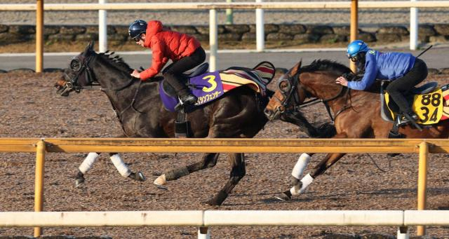 【高松宮記念1週前追い】エイシンフェンサー　吉村師手応え「充実期を迎えた」