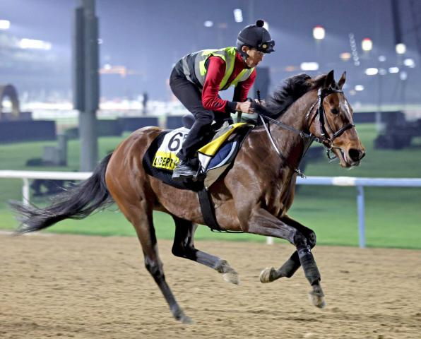 香港チャンピオンズデーのJRA海外馬券発売発表　23年の牝馬3冠馬リバティアイランドなど8頭参戦予定
