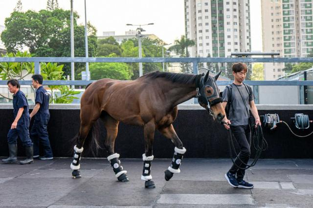 【香港QE2】ドバイから転戦のリバティアイランドが現地入り、豪QES2着ドバイオナーは回避