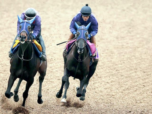 【フローラS】連勝中の注目馬が仕上がり好気配　田中博師「明らかにコンディションは上向いている」
