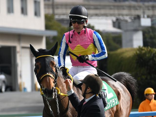 【マイラーズC枠順確定】ロングランは8枠10番、ジュンブロッサムは3枠3番