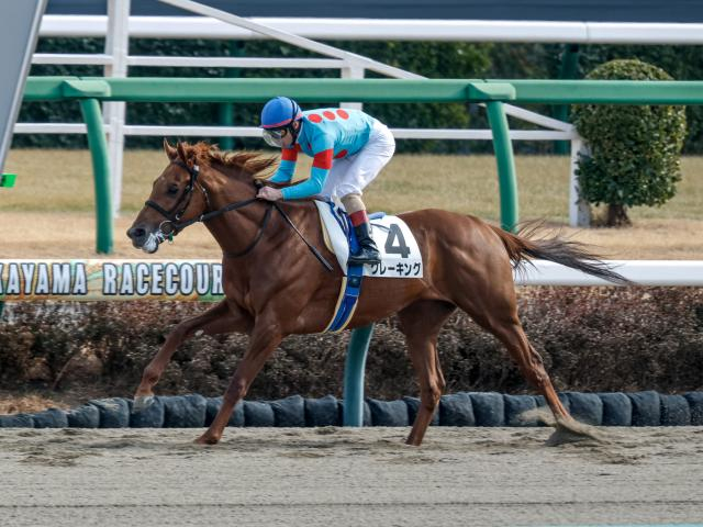 【ユニコーンS想定馬・騎手】クレーキング、メイショウズイウンなど11頭