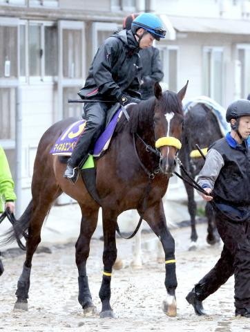 【天皇賞・春】清水久厩舎のマイネルエンペラー、シュヴァリエローズが併せ馬　清水久調教師「2頭とも動きがいい」
