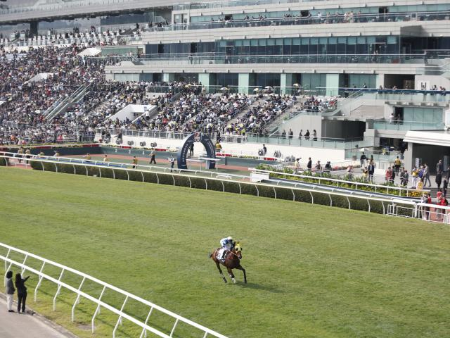 香港チャンピオンズデー 日本から3競走に計8頭が出走