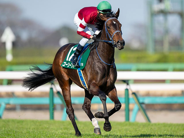 東京芝は地力勝負 フローラSは中枠の差し馬が有利か