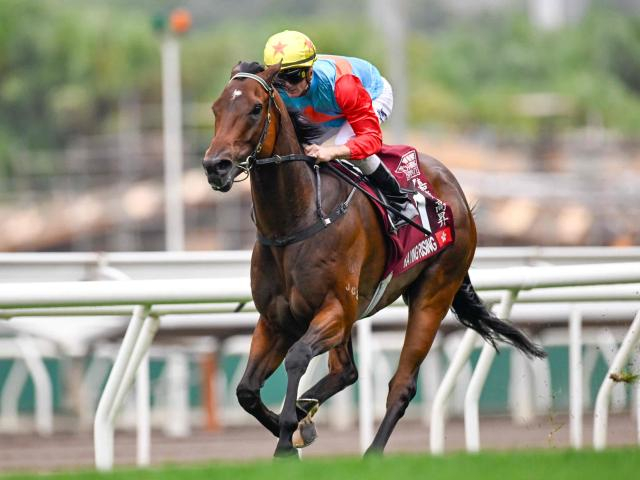 【香港・チェアマンズSP結果】カーインライジングが12連勝達成！ 日本のサトノレーヴが2着