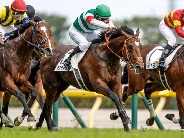 【香港・QEIIカップ結果】ダービー馬タスティエーラが海外G1初制覇 プログノーシスは3年連続2着