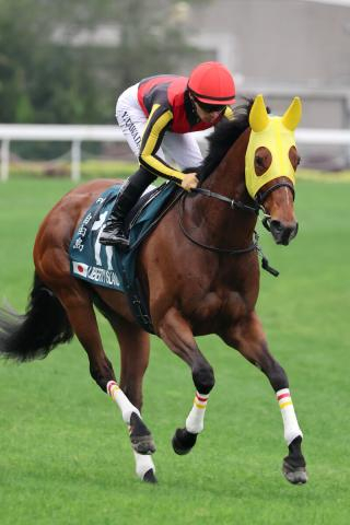 「ほんとに頼むで神様」「どうか命は」リバティアイランド競走中止のアクシデントに悲痛の声「嫌な失速の仕方」
