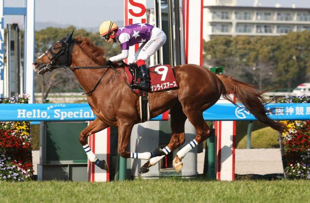 【天皇賞・春　展望】阪神大賞典を圧勝したサンライズアースが堂々主役