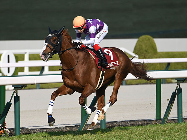 春の長距離王者決定戦・天皇賞(春)など3重賞/今週の競馬界の見どころ