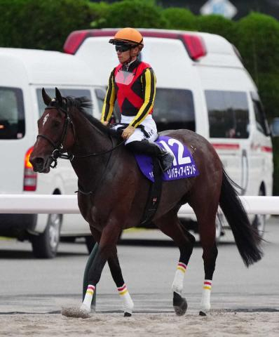 【香港QE2世C】リバティアイランド予後不良…3冠牝馬「お嬢さん」天国へ旅立つ