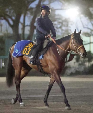 【ケンタッキーダービー】4連勝中ルクソールカフェがモレイラ騎手と日本調教馬初Vへ　昨年フォーエバーヤングも3着に敗れた壁に挑む