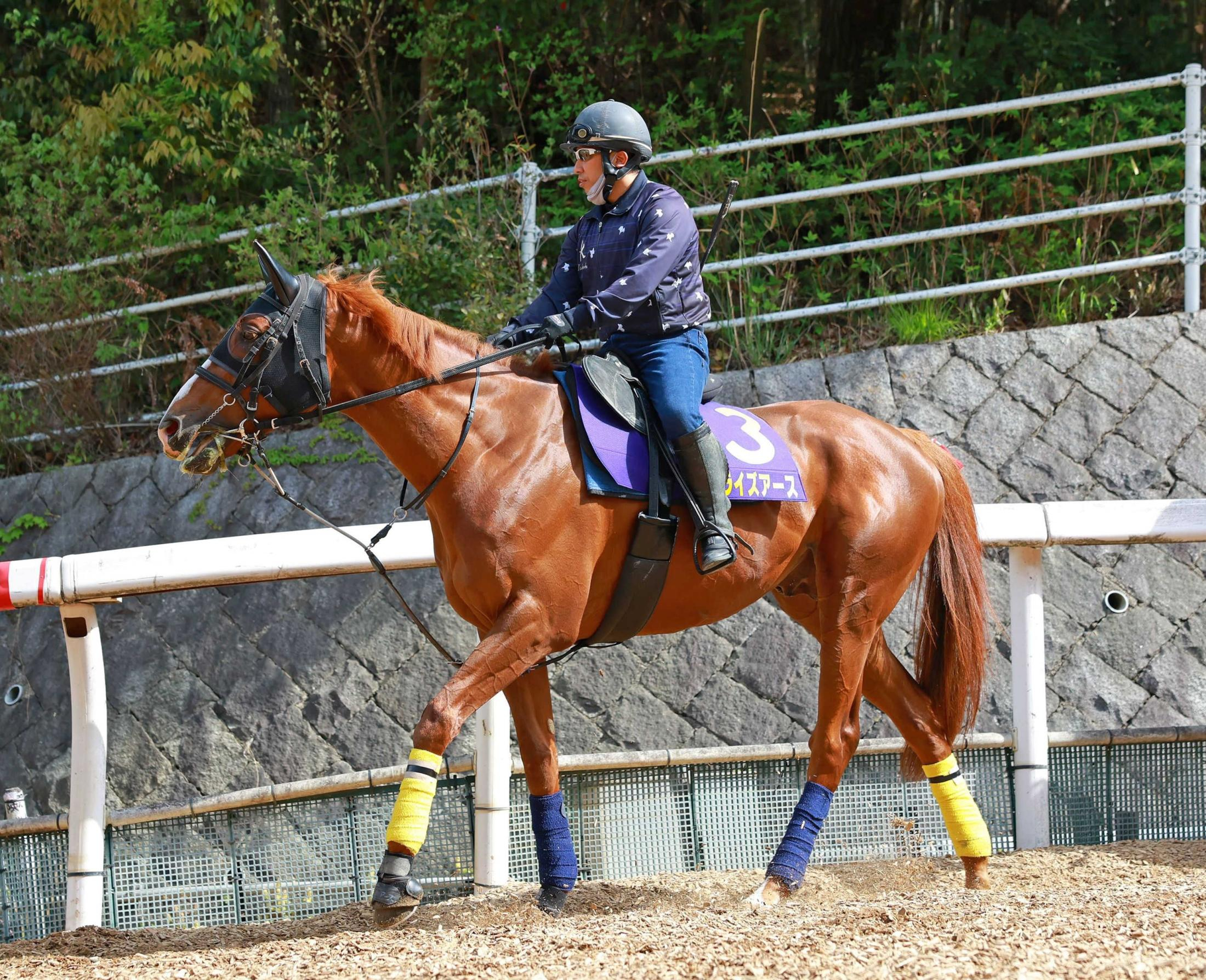 【天皇賞】阪神大賞典を制したサンライズアース　長距離界制圧へ最有力ローテでトップ評価　７週連続Ｇ１開幕戦