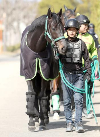【天皇賞・春】23年王者のジャスティンパレスが2年ぶりの参戦　陣営「距離、コース実績もある」