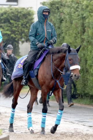 【天皇賞・春】昨年2着のブローザホーンが復調ムード　陣営「全身が使えるようになってきた」