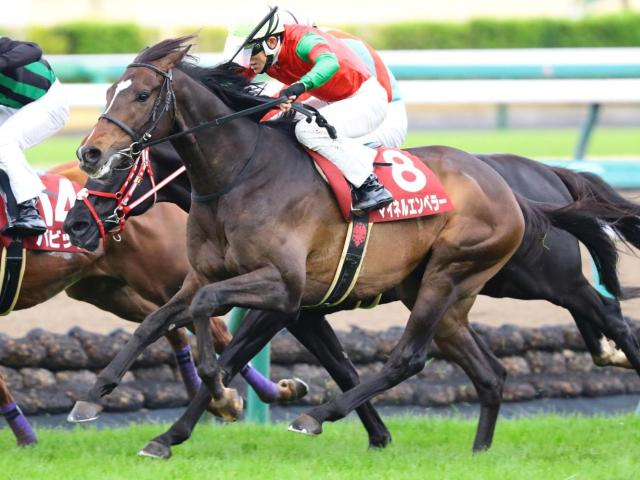 【天皇賞(春)】丹内祐次騎手がGI初制覇へ 日経賞覇者のマイネルエンペラーで挑む