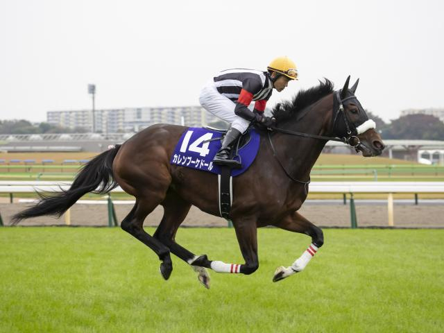 カレンブーケドールが唯一の馬券圏内 グレード制導入後の天皇賞(春)に挑んだ牝馬たち