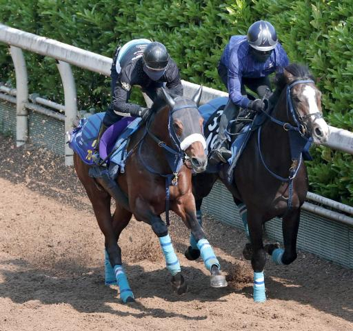 【天皇賞・春】ブローザホーンが宝塚記念以来のG1・2勝目へ　吉岡調教師「状態はもう一段上がっている」