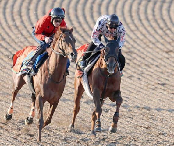 【ユニコーンS】前走楽勝のクレーキングは木曜輸送　中舘調教師「競馬までのアプローチをしっかり」