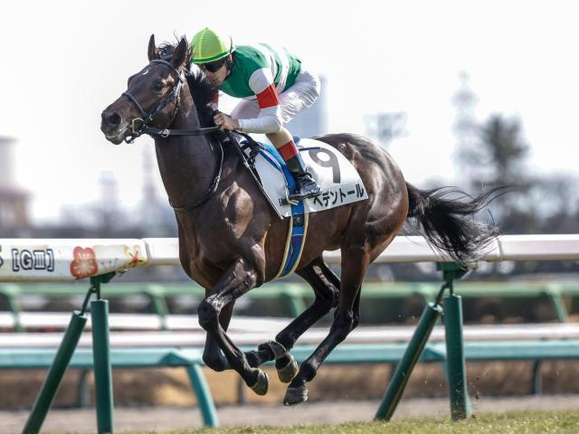 【天皇賞(春)・調教後馬体重】ヘデントールは490kg、サンライズアースは540kg