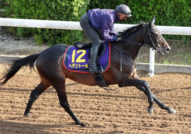 【天皇賞・春】ヘデントールは4枠6番　07年メイショウサムソンや13年フェノーメノが同番から勝利