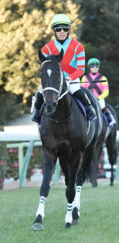ディープボンドが天皇賞・春ウィークに誘導馬デビュー?　京都競馬場のSNS「X」が予告ポスト