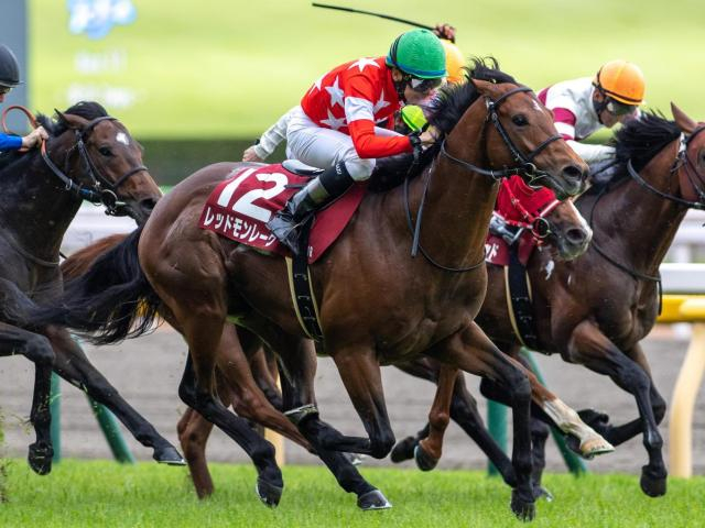 【京王杯SC】一昨年覇者のレッドモンレーヴ レース史上2頭目の2勝目なるか
