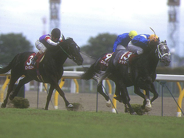 異国の地で挙げた重賞初制覇 17番人気のドゥマーニが勝利した京王杯SCから30年