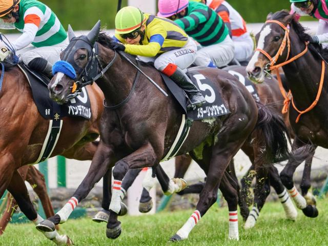【島原特別】母は名牝ソウルスターリング スターリングアップが待望3勝目なるか
