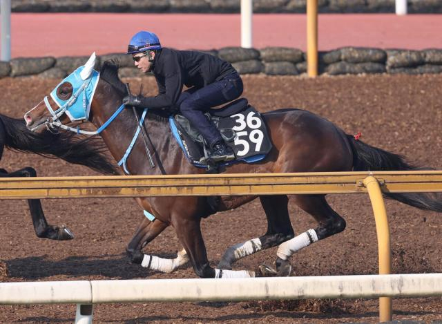 【ユニコーンS】武豊騎手騎乗のメイショウズイウンは4枠5番　前走圧勝のクレーキングは6枠8番　枠順決定