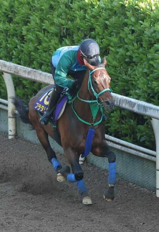 【天皇賞・春】(7)プラダリア　雰囲気凄く良い　池添師「自分のリズムで運べれば」