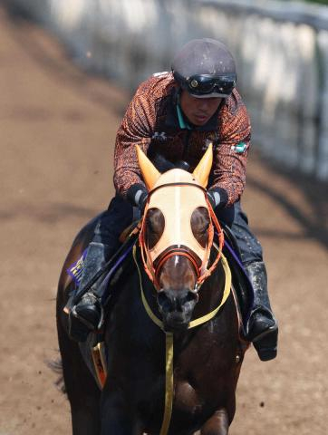 【天皇賞・春】(8)ショウナンラプンタ　作戦騎手に託す　高野師「満足のいく出来ですね」