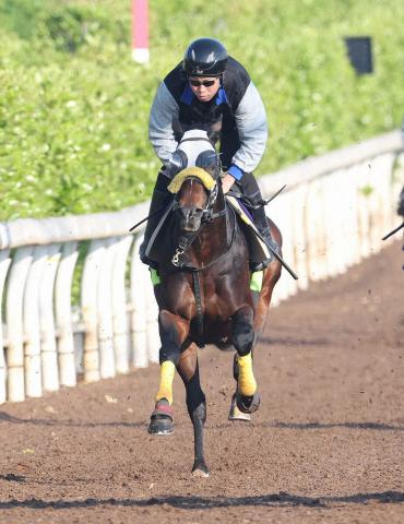 【天皇賞・春】(9)シュヴァリエローズ　巻き返しを期す「舞台が合っていそう」