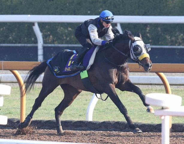 【天皇賞・春】(11)マイネルエンペラー　陣営は太鼓判「前走よりも上向いてる」