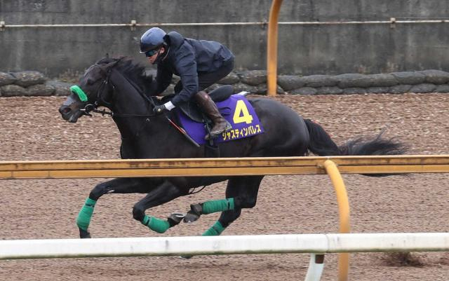 【天皇賞・春】(13)ジャスティンパレス　あるぞ2度目V　杉山晴師「前回ぐらいのスタートで行ければ」