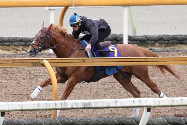 【天皇賞・春】(14)ビザンチンドリーム　坂口師は期待「後ろでリズム良く運べれば」