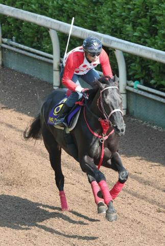 【天皇賞・春】(15)ハヤテノフクノスケ　大外枠も侮れん　中村師「体重増えてしっかりしてきた」